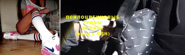 ПСИЛОЦИБИНОВЫЕ ГРИБЫ Алзамай