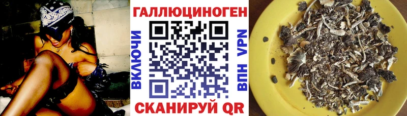 Псилоцибиновые грибы Psilocybe  маркетплейс телеграм  Кондопога 