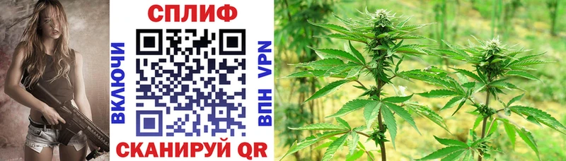 blacksprut вход  Кондопога  Бошки марихуана тримм  где можно купить  